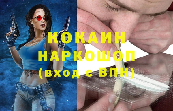 соль ск Алексин