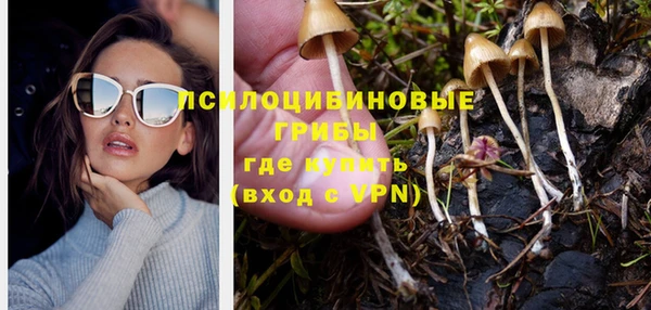круглые Алзамай