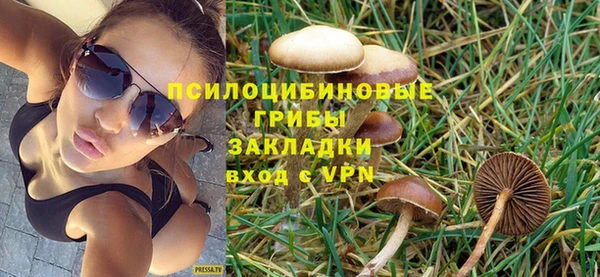 круглые Алзамай