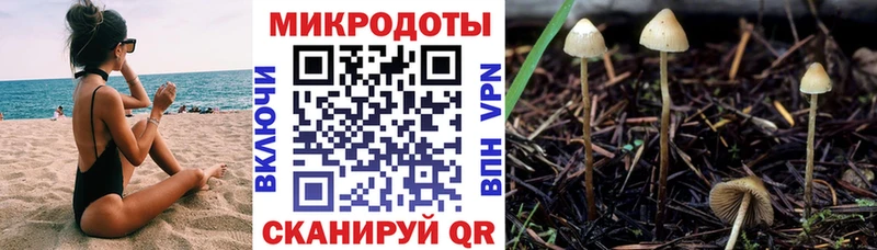 Галлюциногенные грибы ЛСД  Андреаполь 